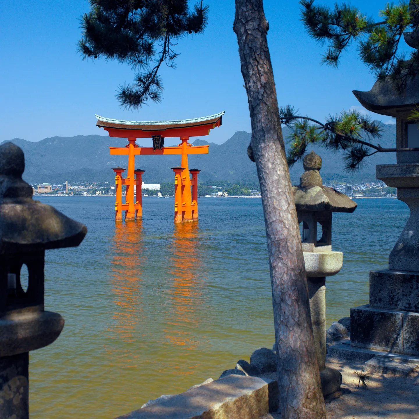 Torii gate at itsukushima japan 2025 03 18 14 51 52 utc