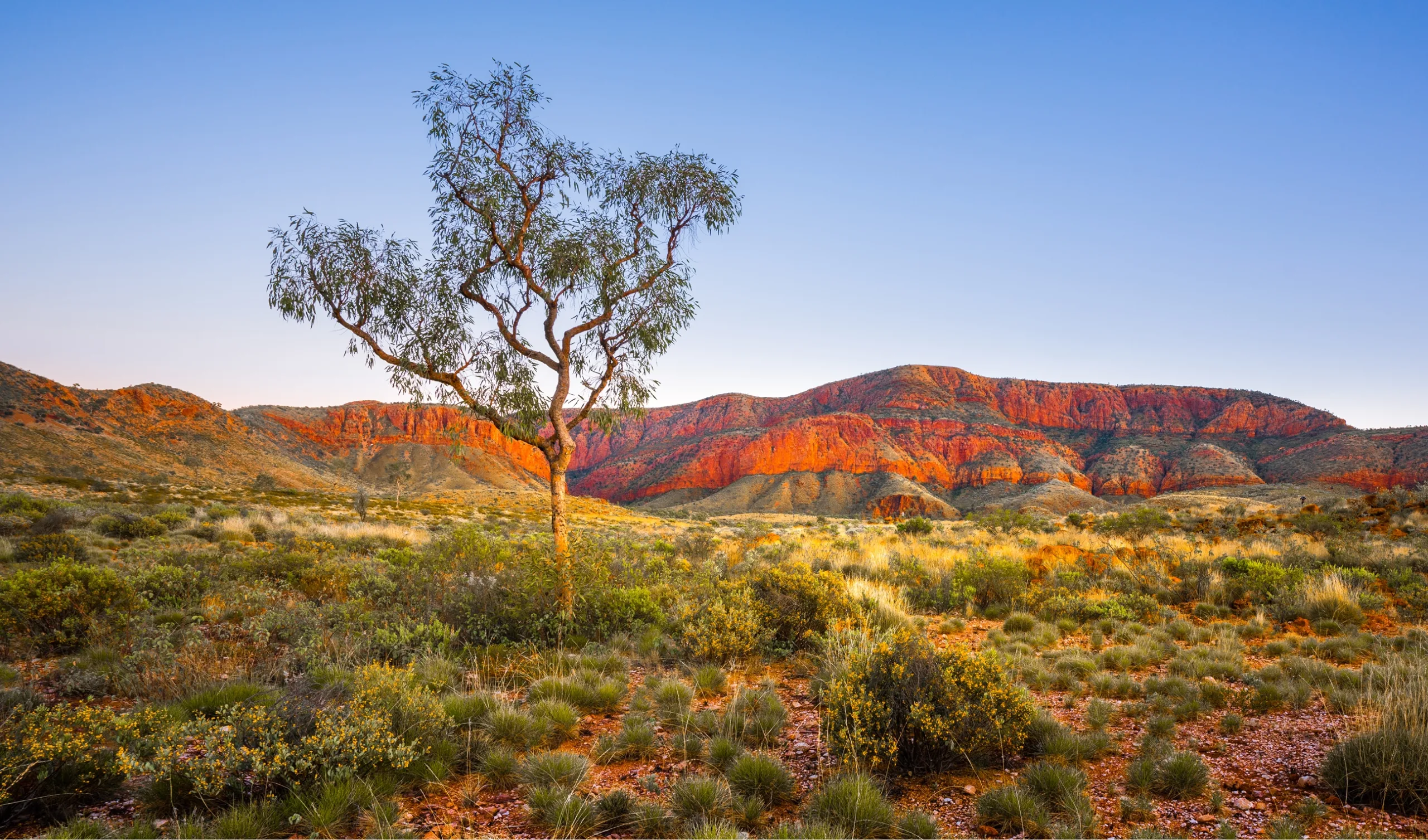 Australia